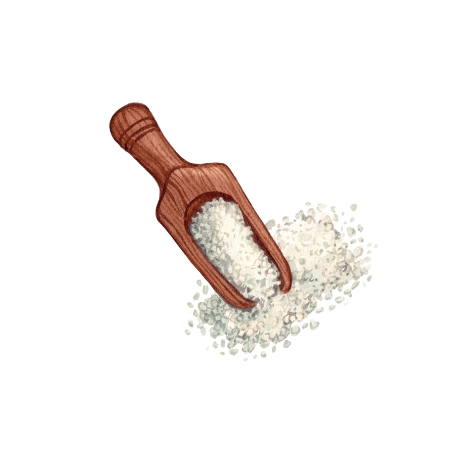 Wooden scoop filled with white granulated celtic sea salt on a white background