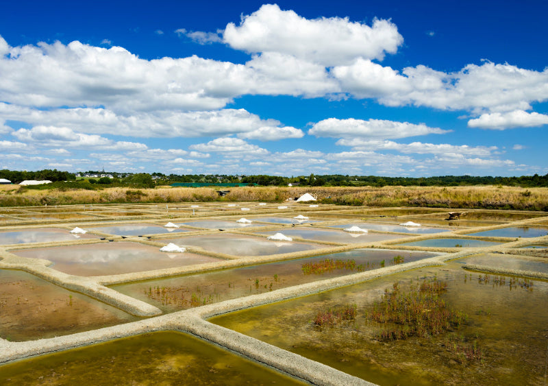 Salt marshes with geometric patterns under a blue sky with clouds.