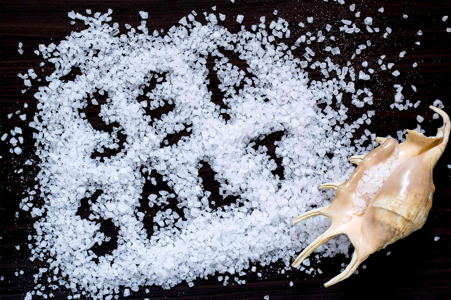 Sea salt with a shell on a dark surface